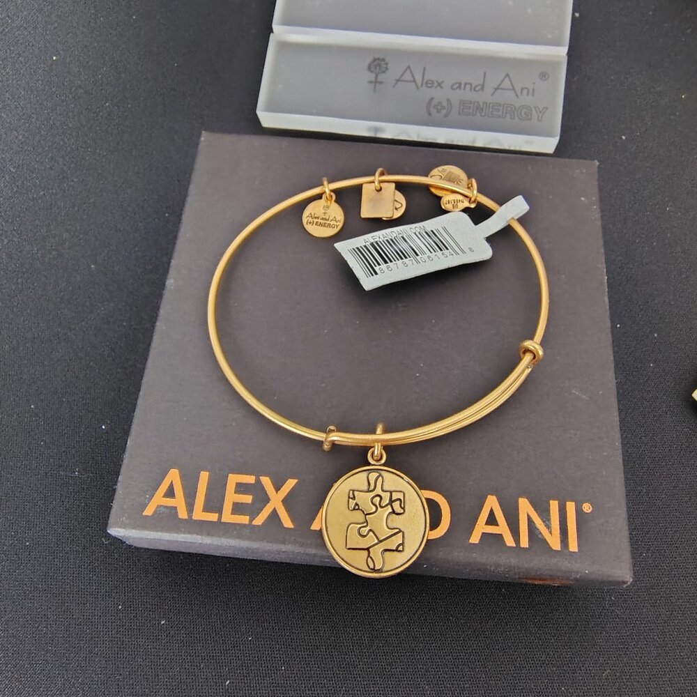 Alex and Ani Bangle Piece of the Puzzle   820